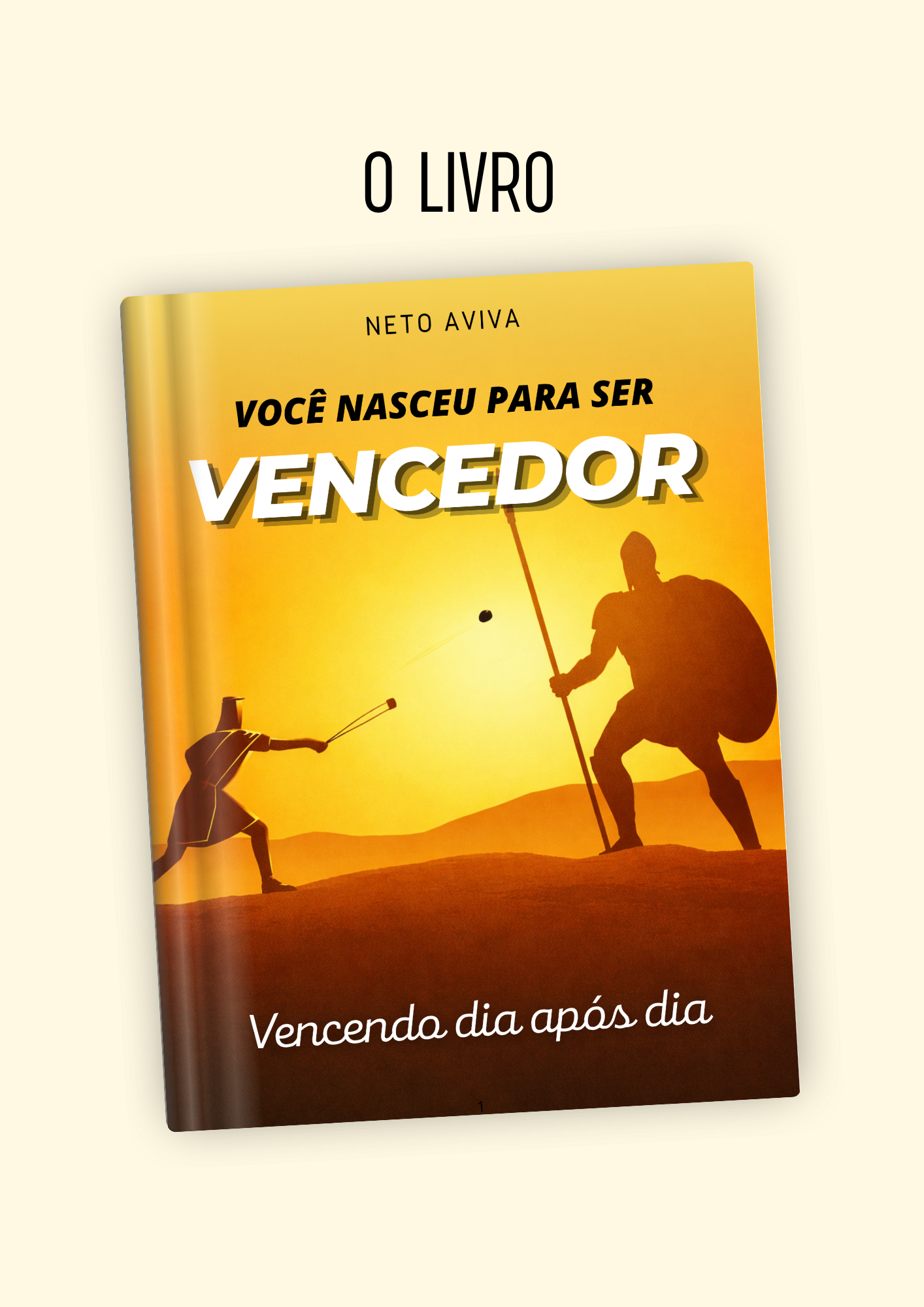 Livro Você nasceu para ser vencedor