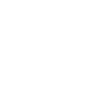 Logo Neto Aviva